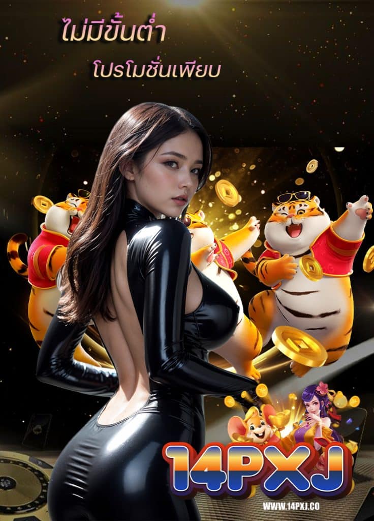 14pxj ระบบทันสมัย